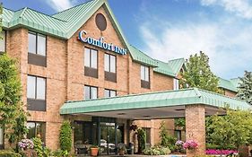 Comfort Inn Utica Mi